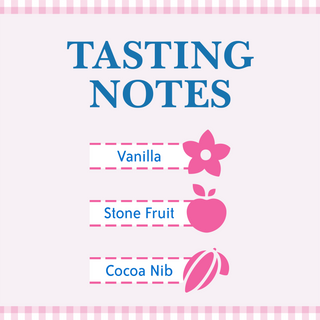 A Cup of Ambition Light Roast graphic reading TASTING NOTES, VANILLA, STONE FRUIT, COCOA NIB.