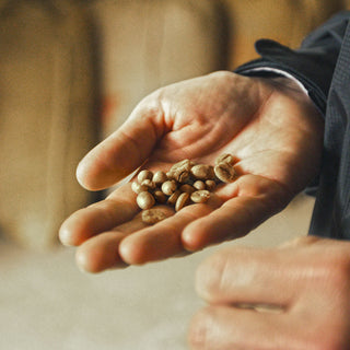 Green coffee beans sit in an open hand.