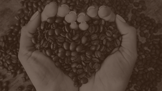 A pair of hands holds coffee beans in the shape of a heart, shown in sepia tone.
